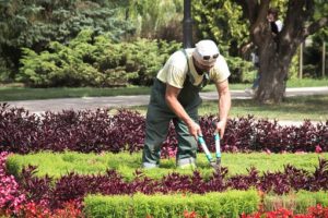 Mitarbeiter M W D In Garten Und Landschaftsbau In Chemnitz